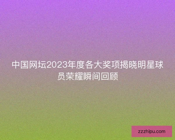 中国网坛2023年度各大奖项揭晓明星球员荣耀瞬间回顾