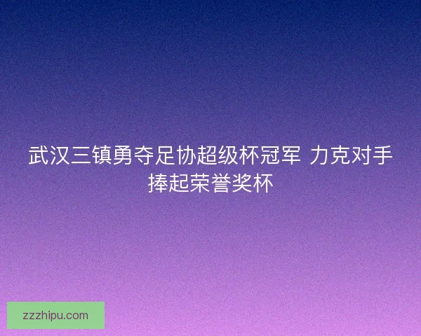 武汉三镇勇夺足协超级杯冠军 力克对手捧起荣誉奖杯